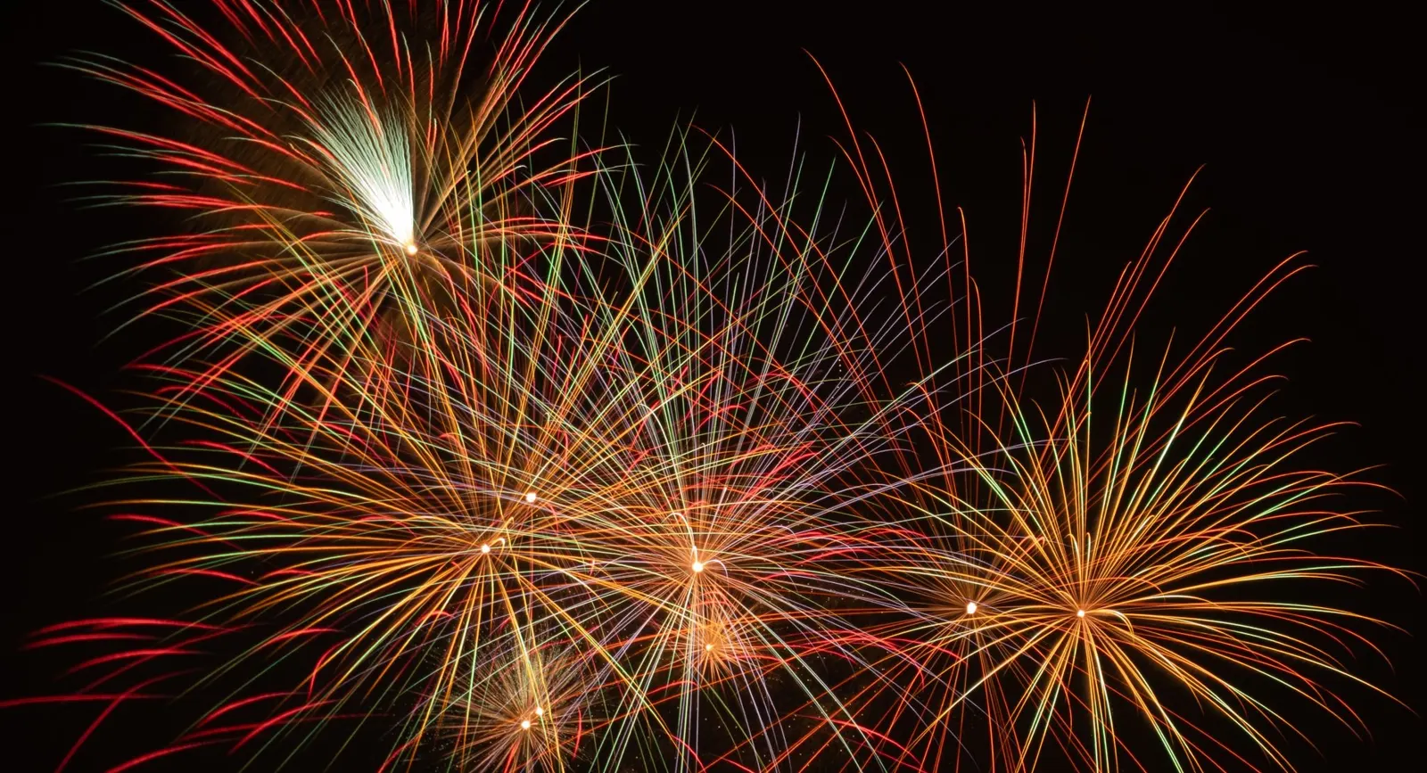 Colourful fireworks bursting across a dark night sky