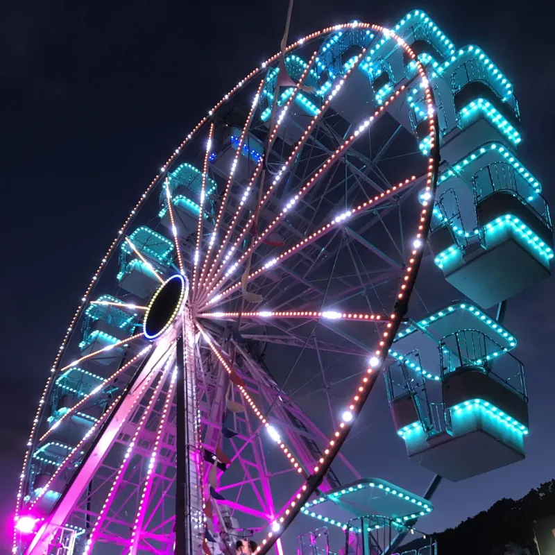 Ferris wheel lit with pink and teal lights at night