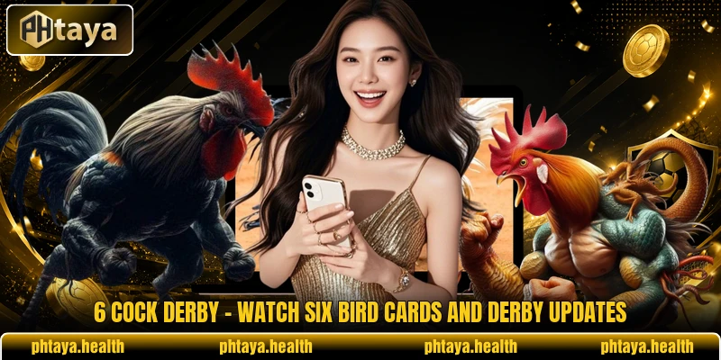 6 Cock Derby - Watch Six Bird Cards And Derby Updates