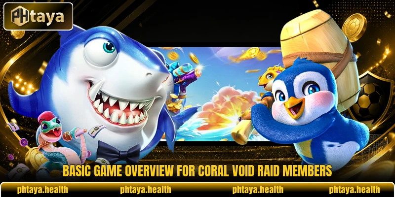 Basic game overview for Coral Void Raid members