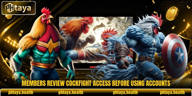 Members review cockfight access before using accounts Members review cockfight access before using accounts